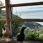 아파트 Paradisa