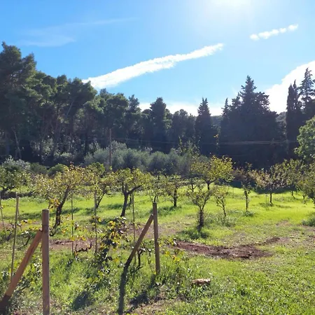 Del Borgo La Paradisa Appartamento Rio dellʼElba