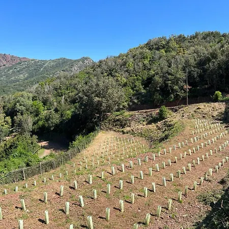 Paradisa דירה *